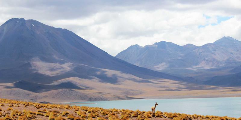 三大企业管理核心技巧:以战略规划驱动市场增长,以品牌定位赢得竞争优势