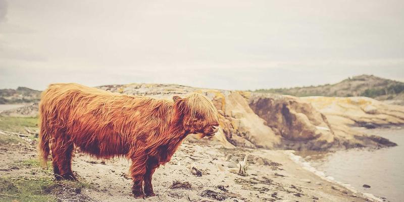 从车间到办公室：精益管理如何重塑非制造部门，赋能品牌定位与战略规划