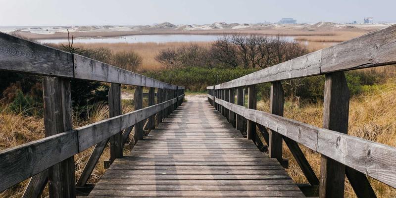 企业战略解码：三步将品牌定位与战略规划转化为市场增长的可执行任务