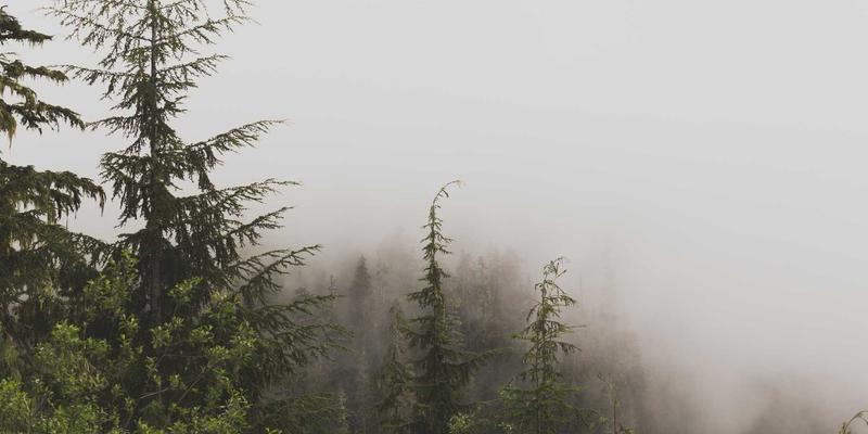 企业管理28：以恩森帕尔战略驱动市场增长的三大核心路径