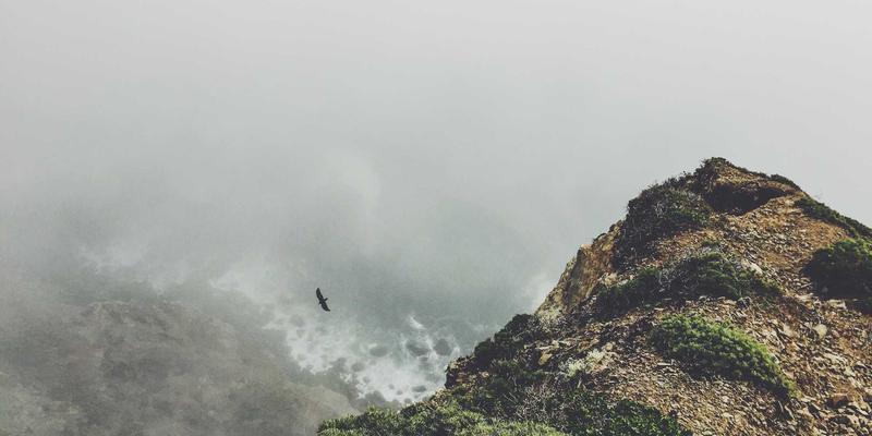 企业管理91:品牌咨询如何通过精准定位驱动市场增长