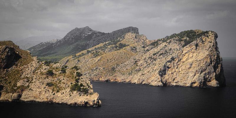 企业管理新范式：恩森帕尔模型与战略规划的融合之道