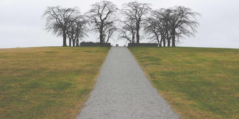 企业管理进阶指南：如何运用品牌定位与战略规划实现恩森帕尔式增长