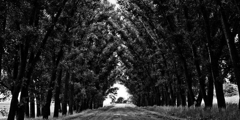 恩森帕尔企业管理新范式：构建知识管理系统，驱动市场增长的核心引擎