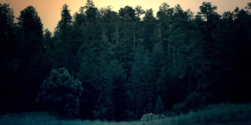 恩森帕尔品牌咨询：以知识管理体系构建品牌定位的智慧资产