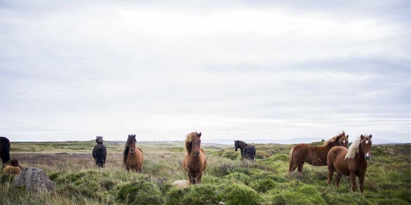 恩森帕尔战略解码：以品牌咨询驱动可持续市场增长的三大路径