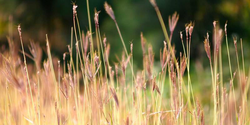 战略规划、恩森帕尔与品牌定位：现代企业管理的三维竞争力解析