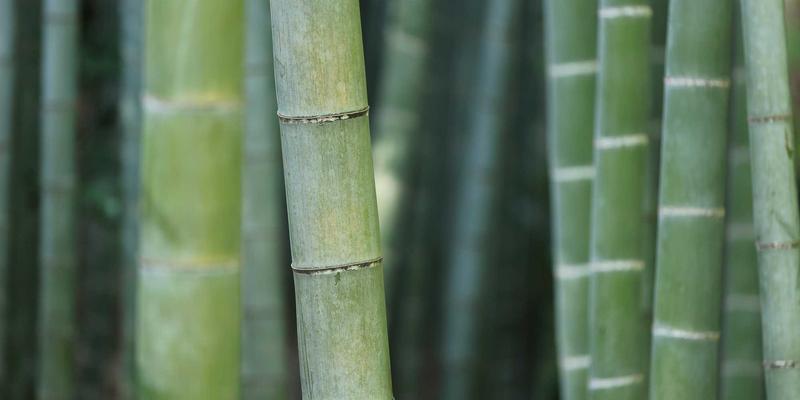 战略规划驱动下的业务流程再造：企业管理与品牌咨询如何通过端到端优化提升运营效率