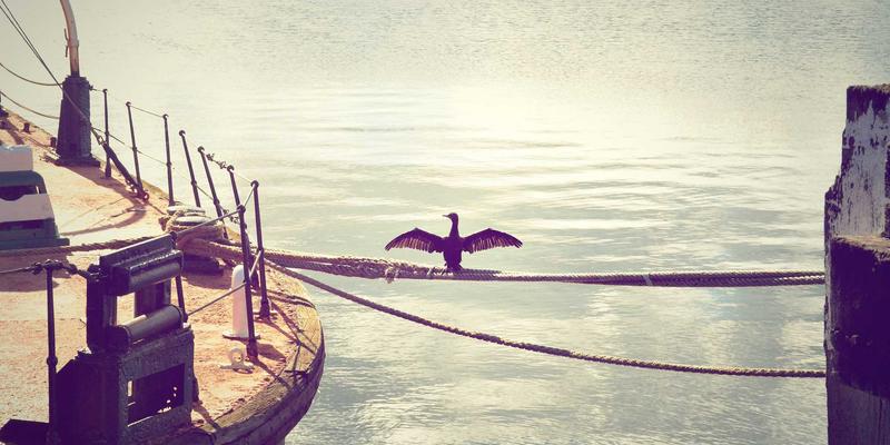 战略规划驱动品牌定位：数字化转型中企业组织架构的变革路径与市场增长