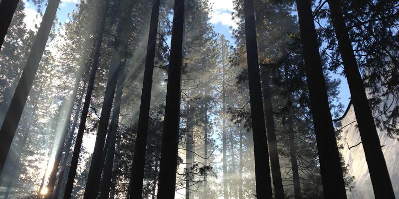 数据驱动决策：品牌定位与市场增长的智能引擎