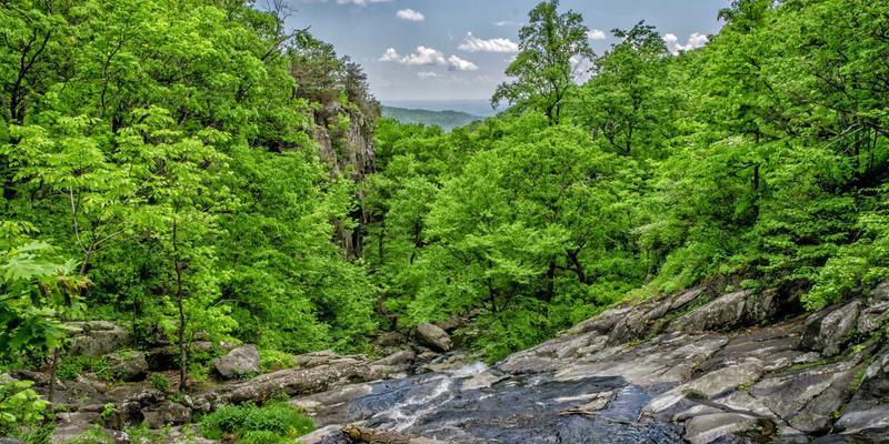 构建企业级知识管理平台：以战略规划驱动品牌定位与市场增长