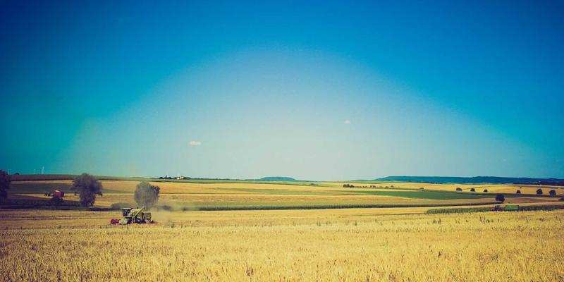 驱动市场增长的战略规划：并购后文化整合与品牌定位融合之道